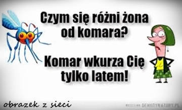 komar%2Bi%2B%25C5%25BCona.jpg