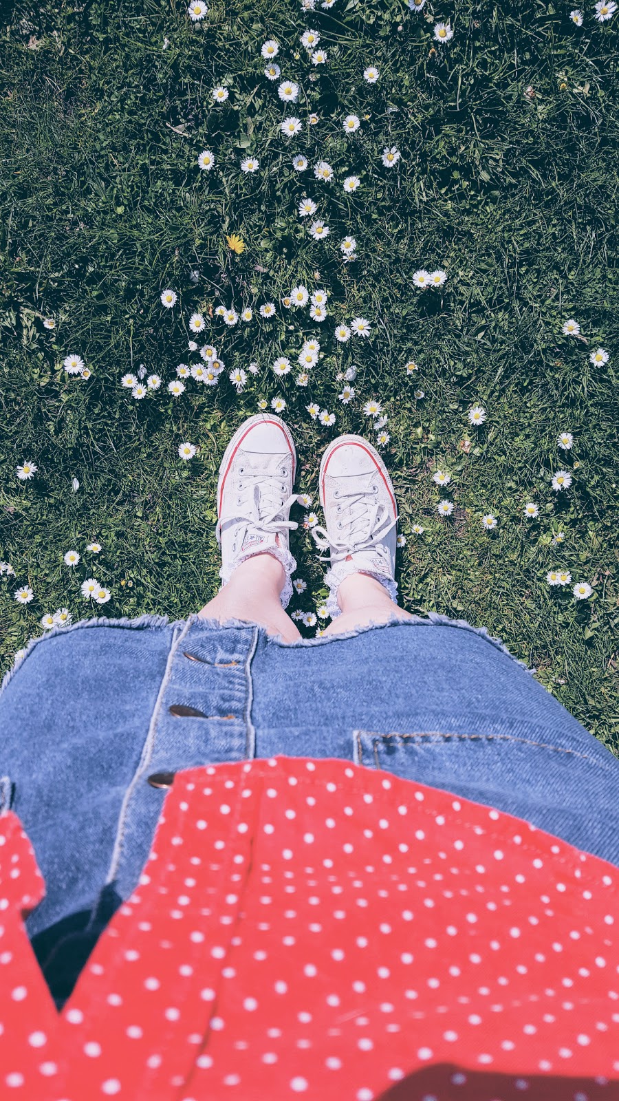 Polka Dot Shirt And Daisies: A Perfect Pairing For Spring Fashion Polka Dot Shirt And Daisies: A Perfect Pairing For Spring Fashion
