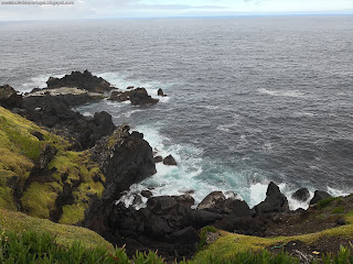 PORTUGAL / Cinco Ribeiras, Ilha Terceira, Açores, Portugal