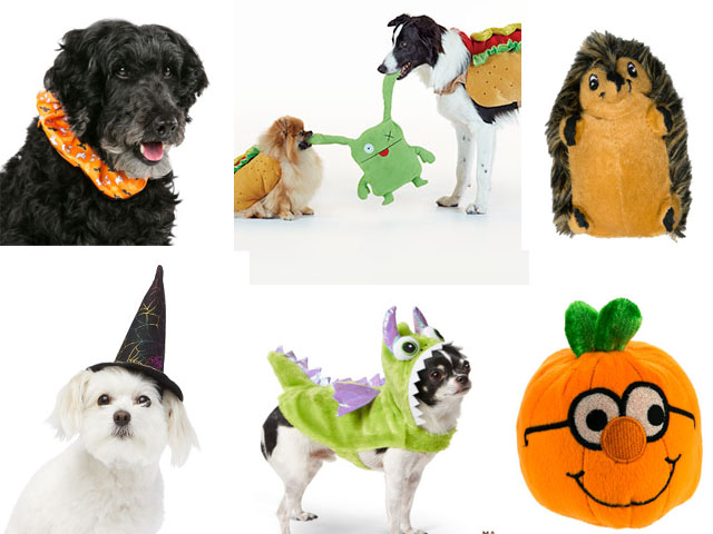 petsmart-promotional-codes-free-shipping-2016-save-30-for-all-dogs-halloween-costumes-at-petsmart