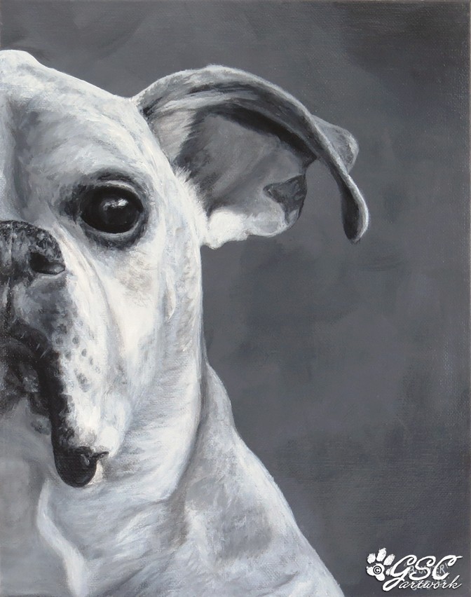 boxer dog animal pet portrait acrylic painting art