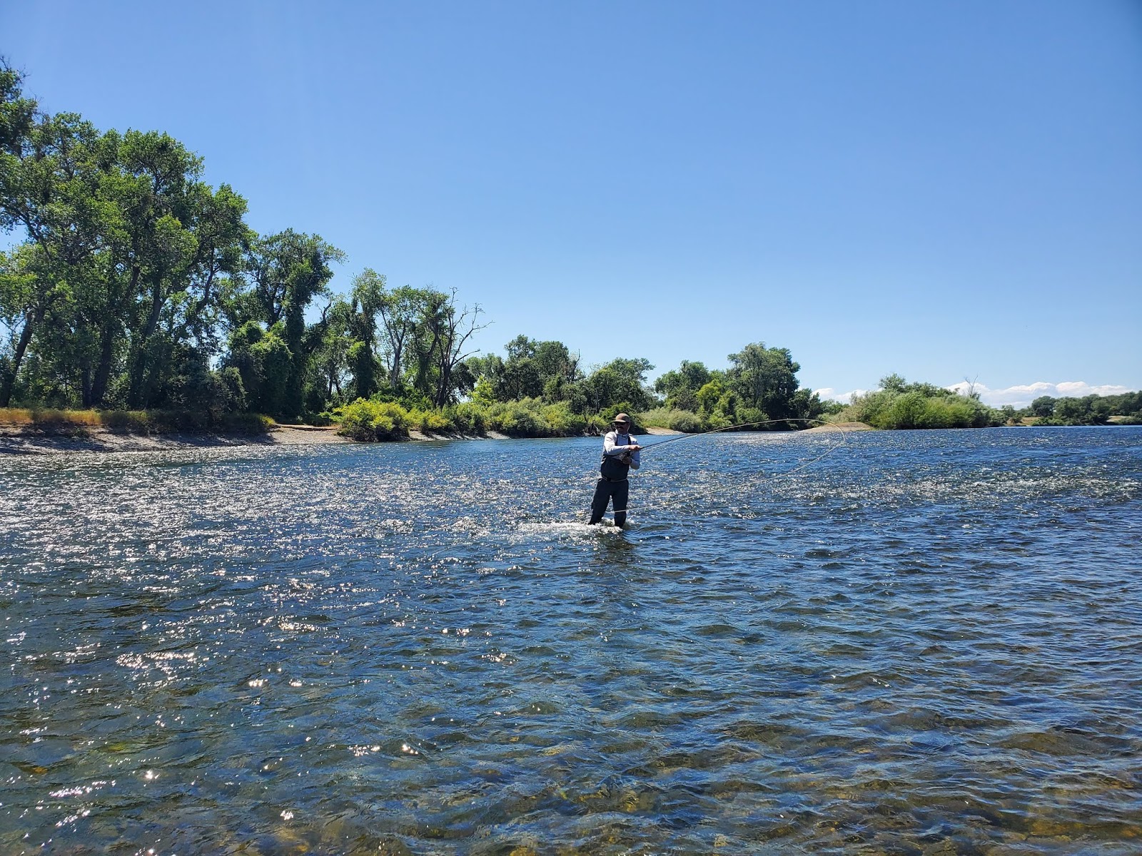 Nor Cal Fly Guides Ncfg Blog Northern California Fly Fishing Guide