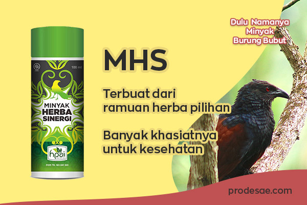 √ Yuk Ketahui Kandungan MHS dan Manfaatnya untuk Kesehatan - Prodesae