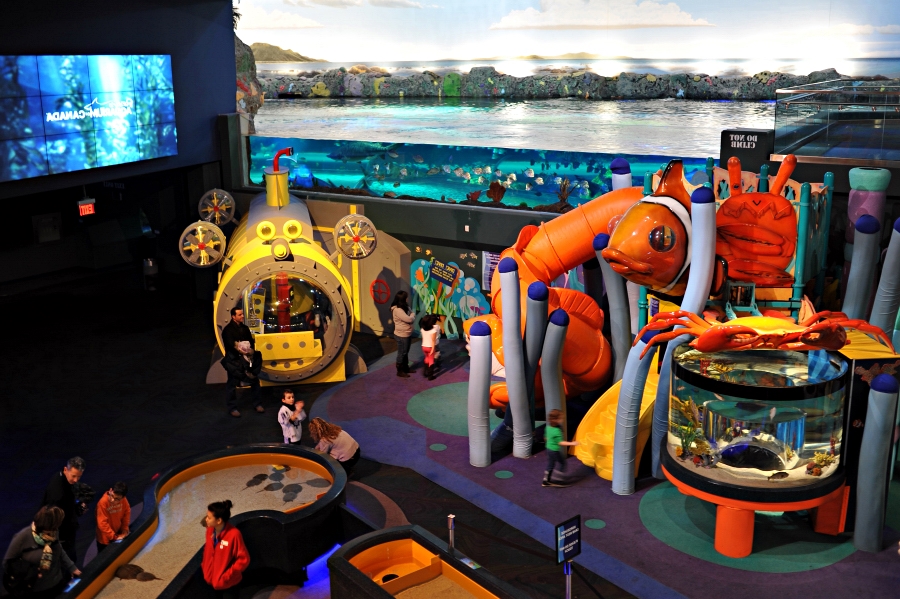 TORONTO CN TOWER, RIPLEY'S AQUARIUM P a t e e