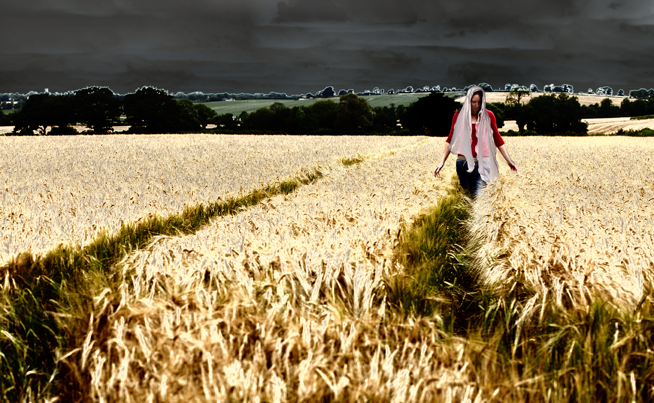 Discover Ireland Ashbourne The Land Of Crops discover-ireland-ashbourne-the-land-of-crops