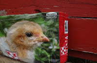 http://www.patchworkposse.com/chicken-feed-bag-tutorial/