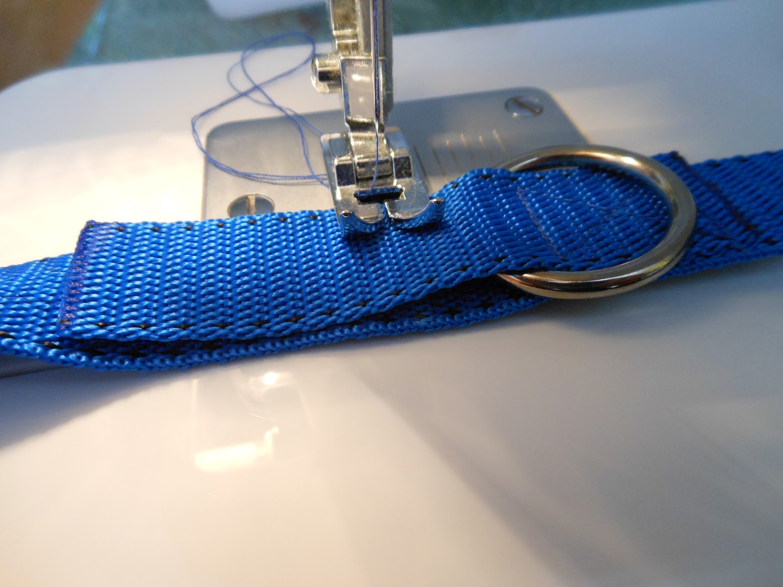 Buckle Down Hundeleine Mit Stechpalme & Mistel-Motiv | 1,8 M Lang, 1,3 Cm Breit, Polyester