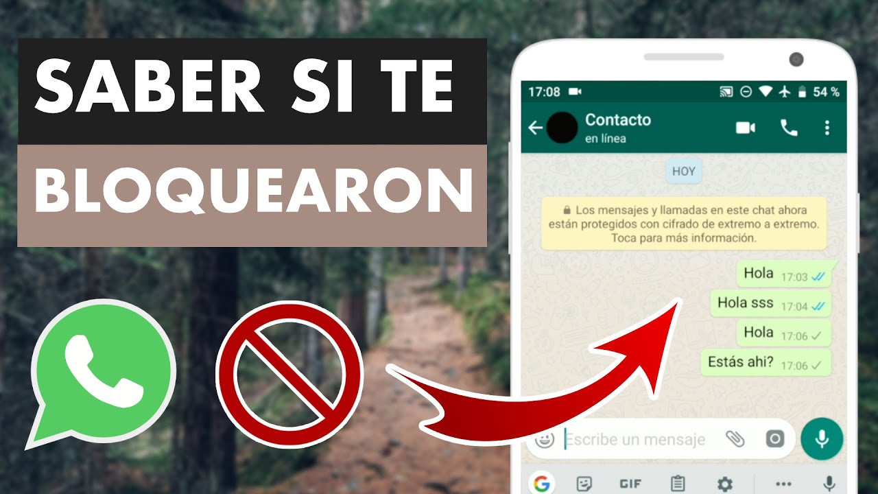 Cómo saber si alguien te bloqueó en WhatsApp