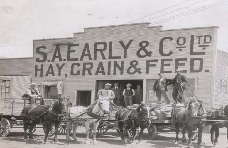 Biomass Industrial Innovative Projects 7 Largest Animal Feed Factories in the World