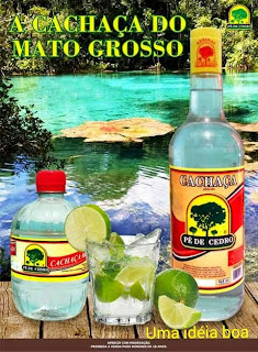 Bebidas Pé de Cedro