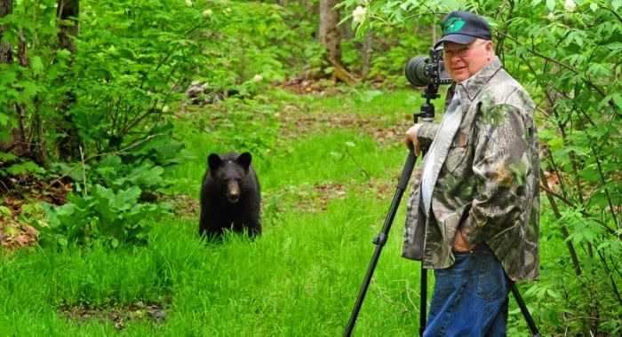 Serius : Apabila Sekeluarga Beruang Melakukan Aktiviti 