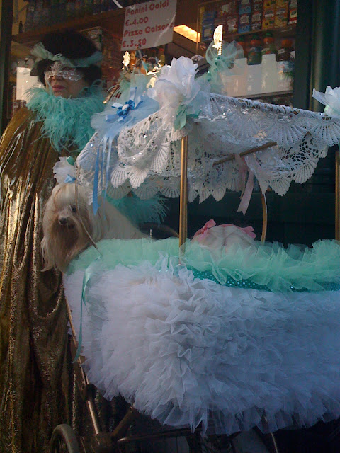 animali in maschera a Venezia