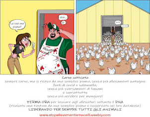 Ecco la vignetta completa vincitrice del concorso per il Progetto carne DA UNA PIUMA.