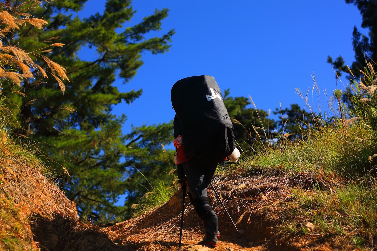 多家屯山屋前