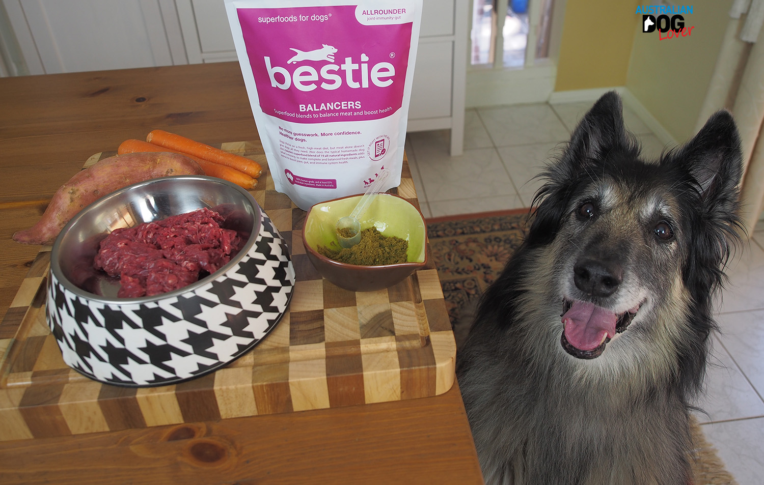 The 25 Best Raw Cat Food Of 2020 Pet Life Today