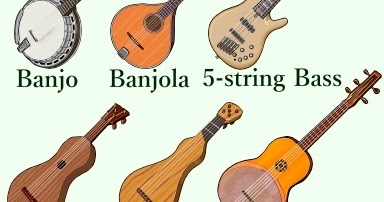 Web楽器事典 Vol . 2 （撥弦楽器編）: 5本の弦