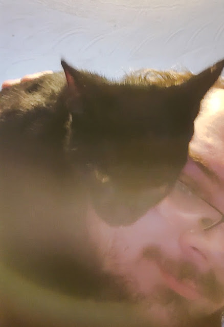 Instant love from a stray cat the guy found in the woods near his home