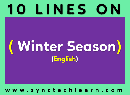 essay on seasons for class 5