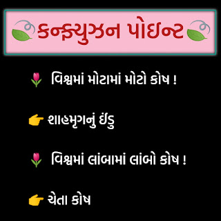 સામાન્ય જ્ઞાન