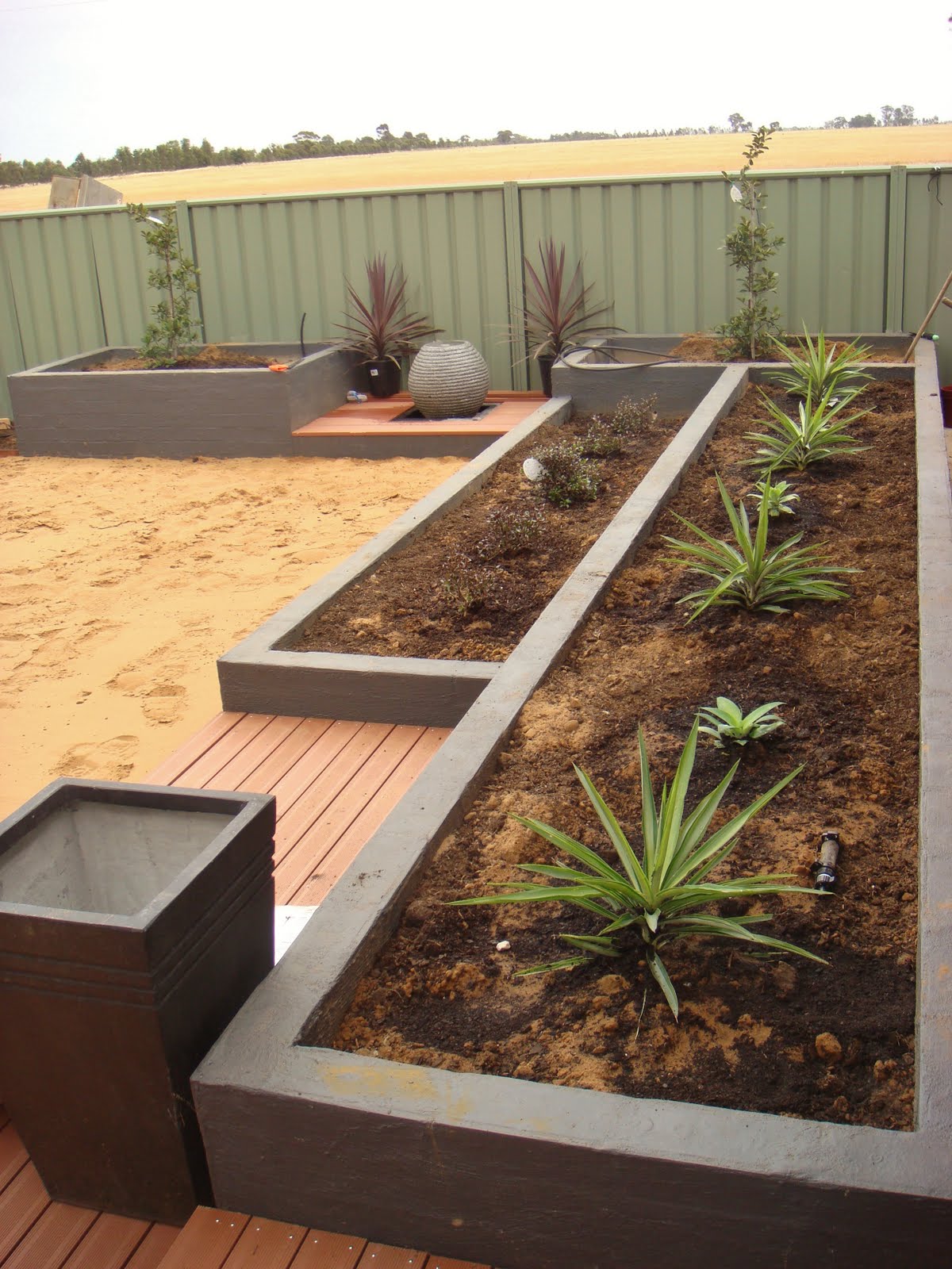 Eden Design A simple backyard garden Echuca, Victoria.