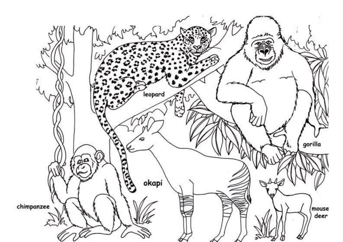 African Animals Coloring Pages ~ Coloring Print