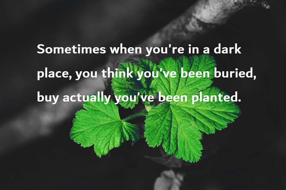 Captivating Quotes: Inspiring Mobile Wallpapers for Endless Inspiration