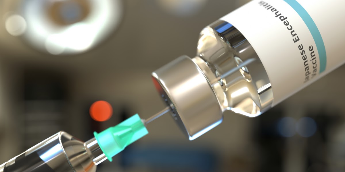 Japanese Encephalitis: Symptoms and Treatment