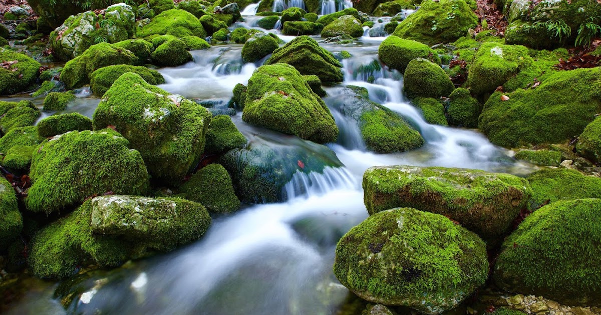 Genealogy's Star: How to Analyze Genealogical Sources: Part Two