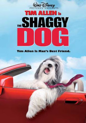 The Shaggy Dog 2006 Dual Audio 480p HDRip 300mb