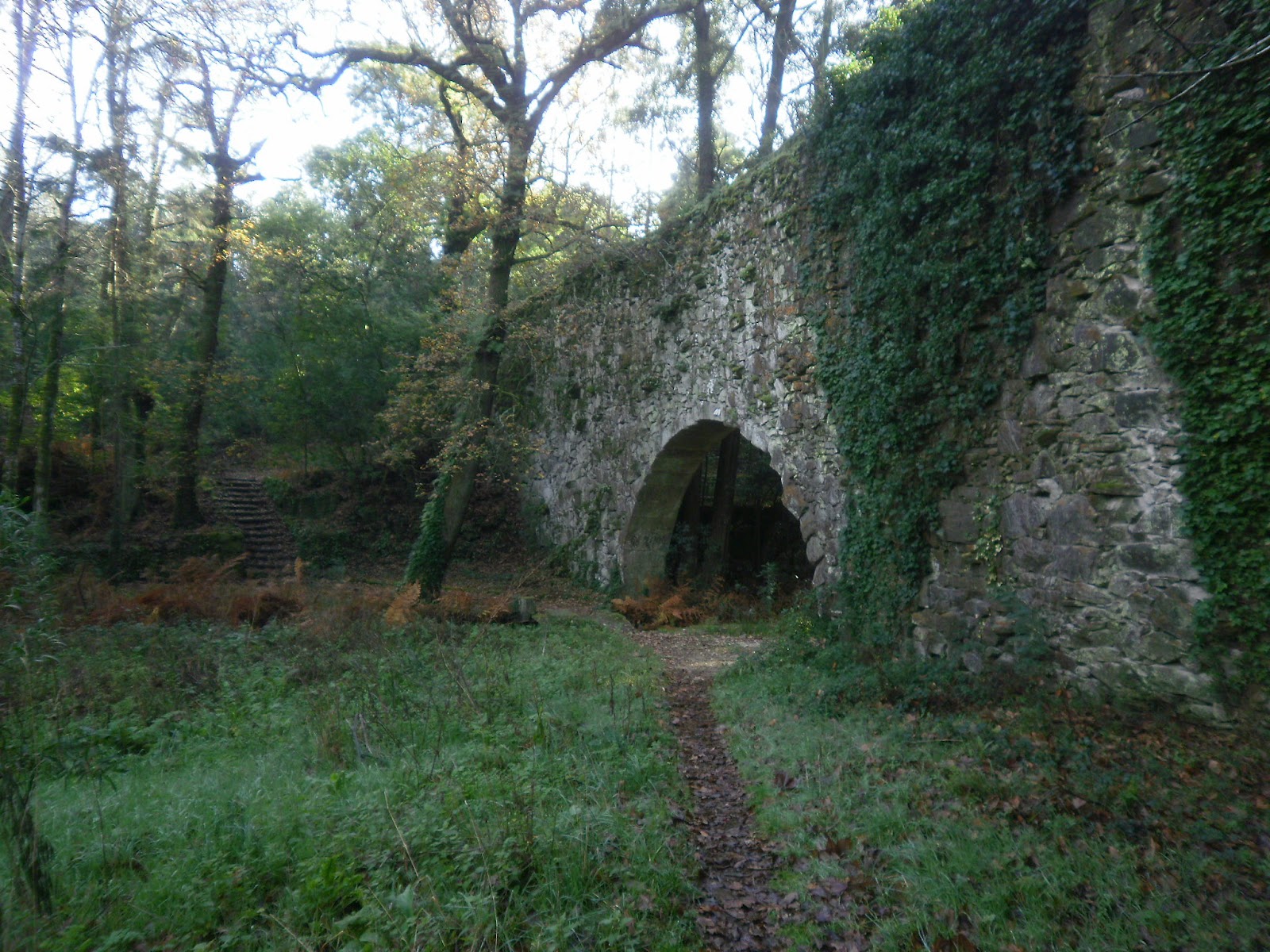 Sura Hermosura Cómo disfrutar de unas vacaciones (II) (Bosques y