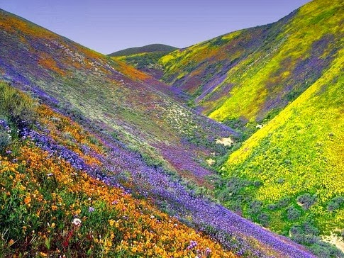 Beautiful Hills In India