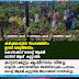 കാട്ടാനക്കൂട്ടം കൃഷിനാശം വിതച്ച  ബളാൽ പഞ്ചായത്തിലെ അത്തിയടുക്കം പ്രദേശം  വൈറ്റ് ആർമി വാട്സ് ആപ്പ് കൂട്ടായ്മ അംഗങ്ങൾ സന്ദർശിച്ചു