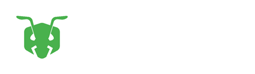 An An
