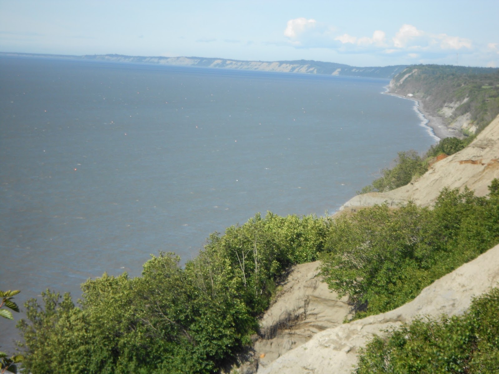 Hall's America Experience Scenic View Campsite, Ninilchik