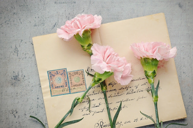pocztówka w staromodnym stylu na której leżą różowe chryzantemy