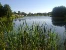 PANT Y BEDW FISHERY CHALLENGER LAKE