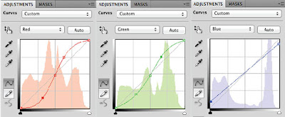 screen shot of photoshop curves adjustment