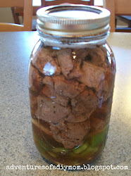 meat deer canning recipes canned diy venison soup jars mom canner adventuresofadiymom chicken pressure cooker lick down adventures salt homemade