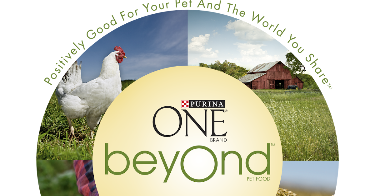 Coupon STL New Purina ONE BeyOnd Printable Coupons Coupon STL New Purina ONE BeyOnd Printable Coupons