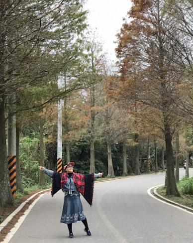 大溪景點-落羽松大道-錯過了陽光普照的燦爛金黃