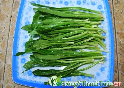 Ngò gai được dùng làm cách chữa hôi miệng