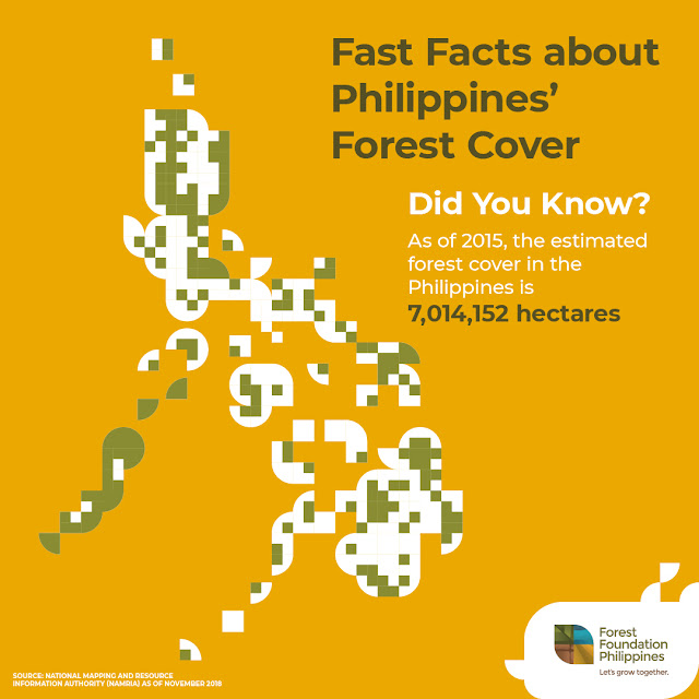 Getting to know the current status of Philippine Forests