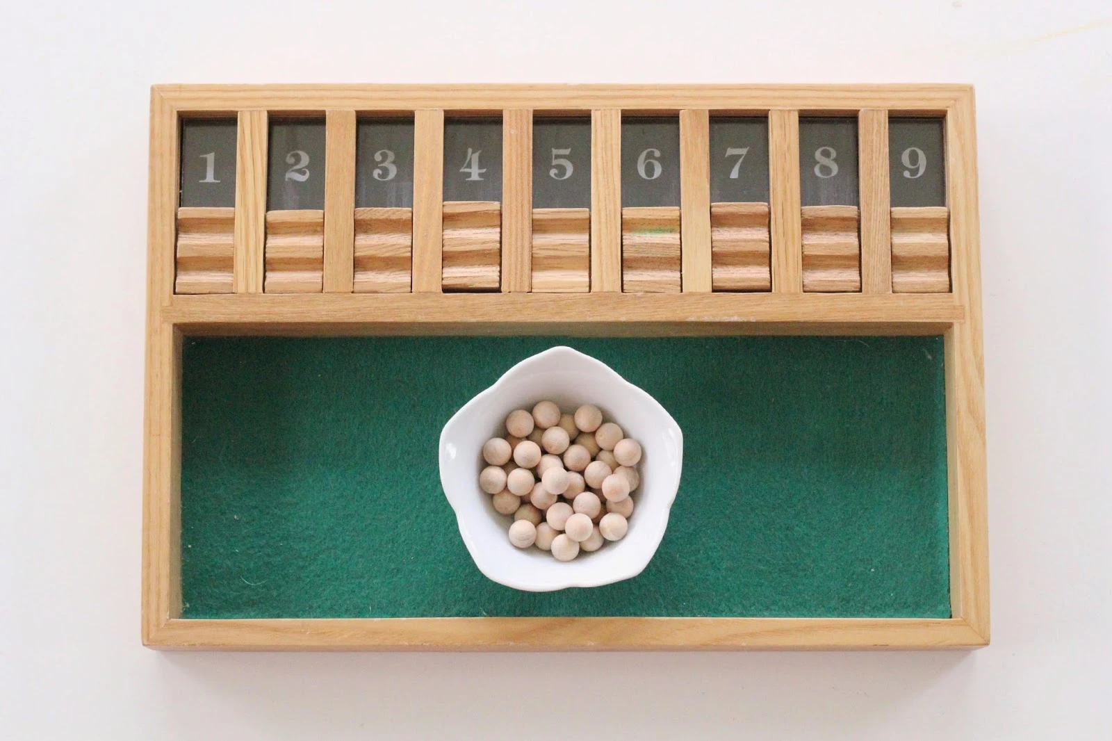 Montessori Inspired Math and Science Trays