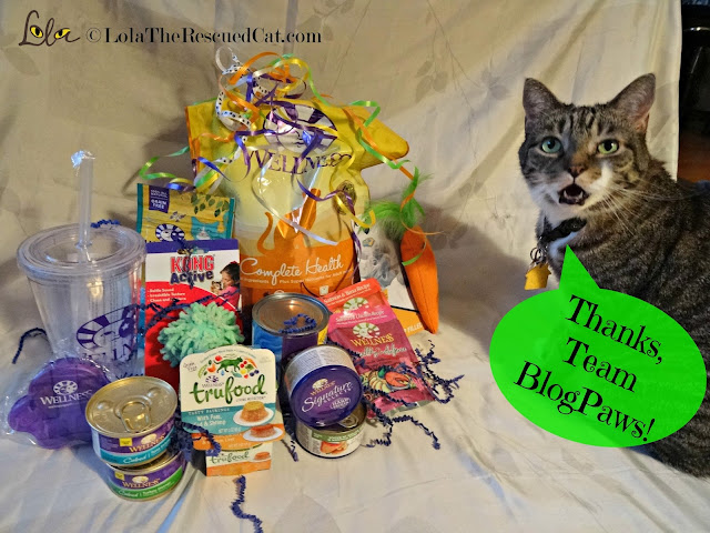 wellness pet food|blogpaws