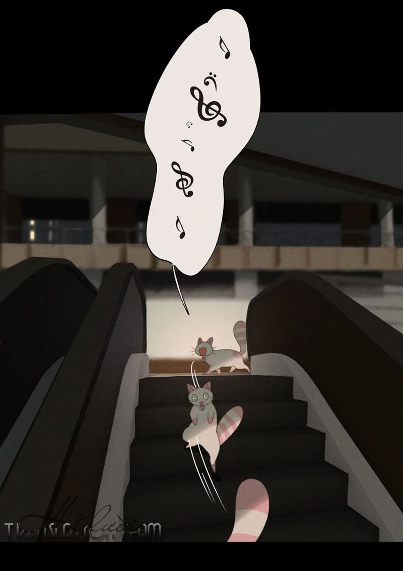 Đọc truyện Thế giới của một chú mèo - Chapter 27