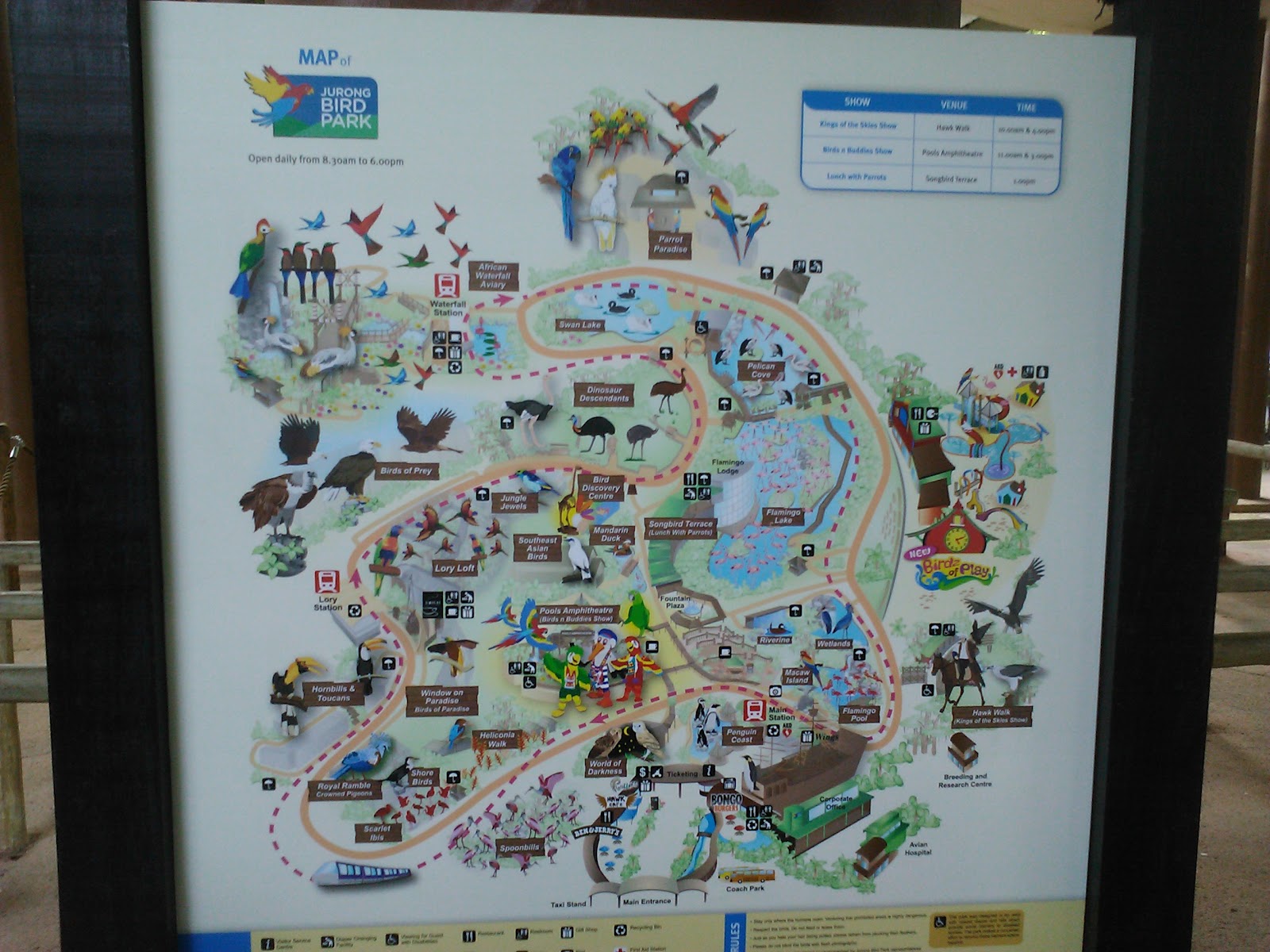 Frenzeelo The Jurong Bird Park