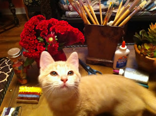 Sam Cat and Coxcomb - Stein Your Florist Co. Sam Cat and Coxcomb - Stein Your Florist Co.