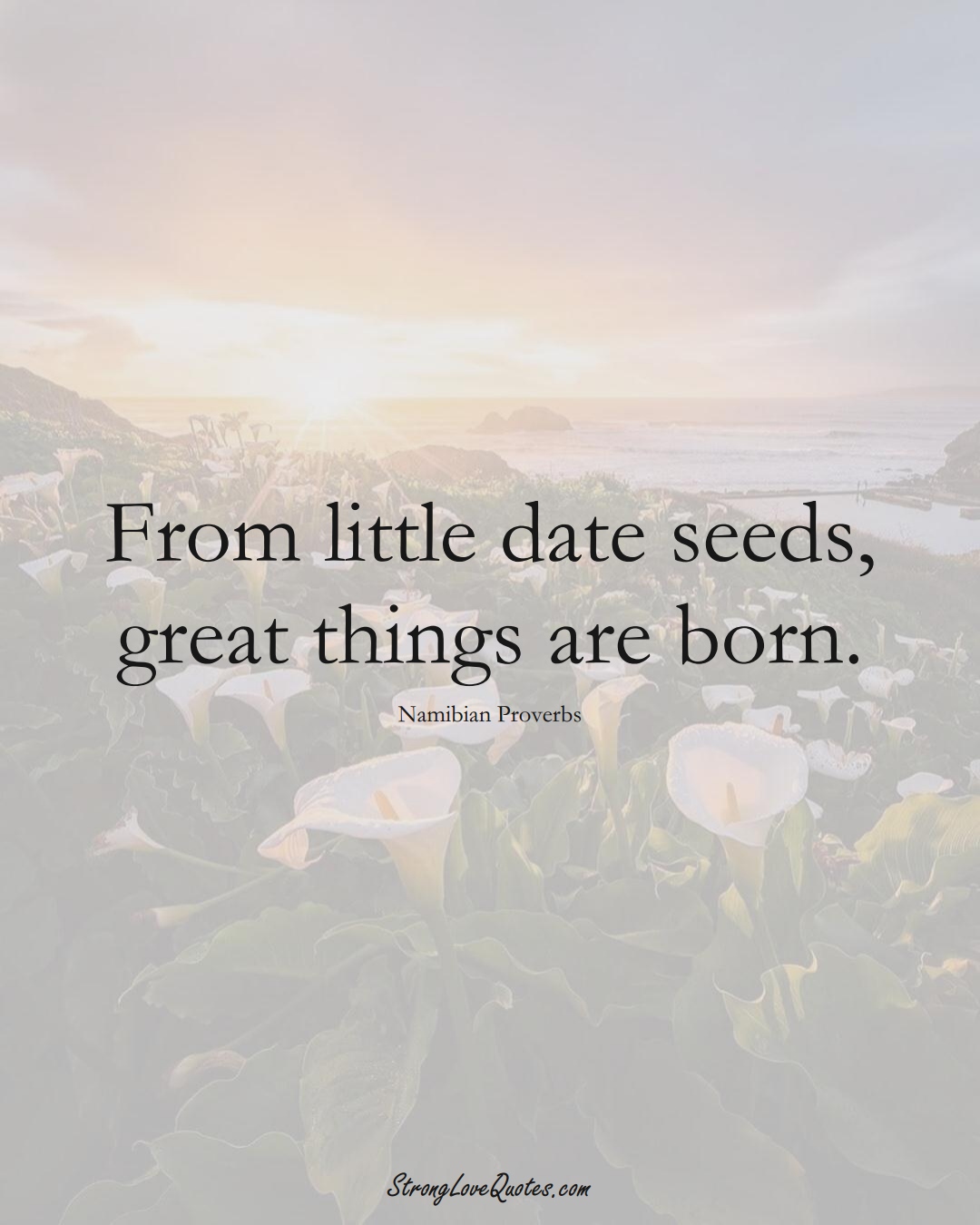 From little date seeds, great things are born. (Namibian Sayings);  #AfricanSayings