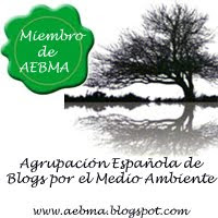 Somos miembros de AEMBA