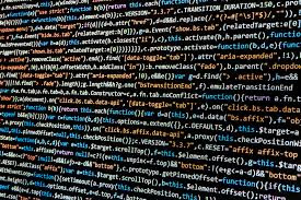 What is Web Scipting ? Types of Scripts